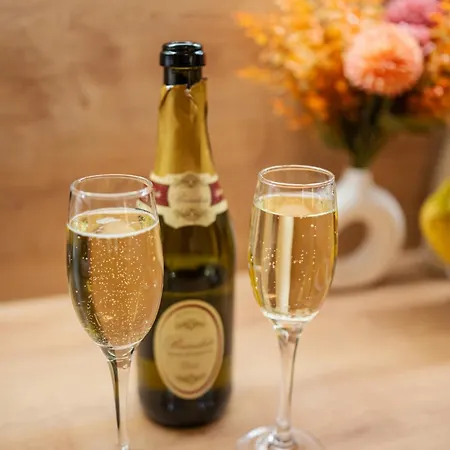 Modern In Historic Center Old Town Apartment Bratislava